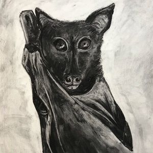 Bat picture